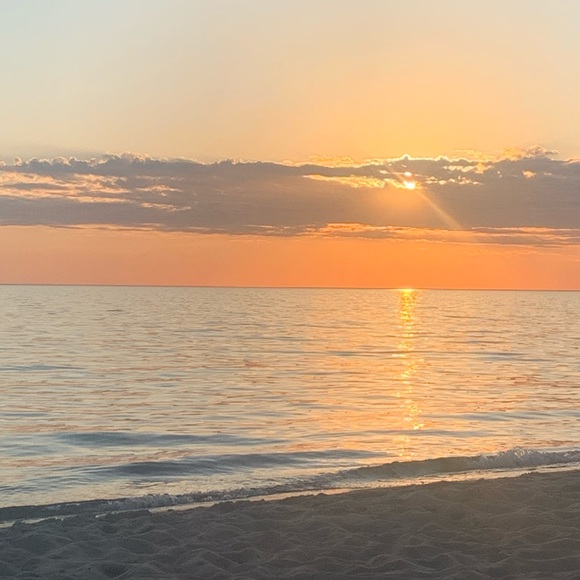 Meet your Posher, Maddy - Picture 3 of 3